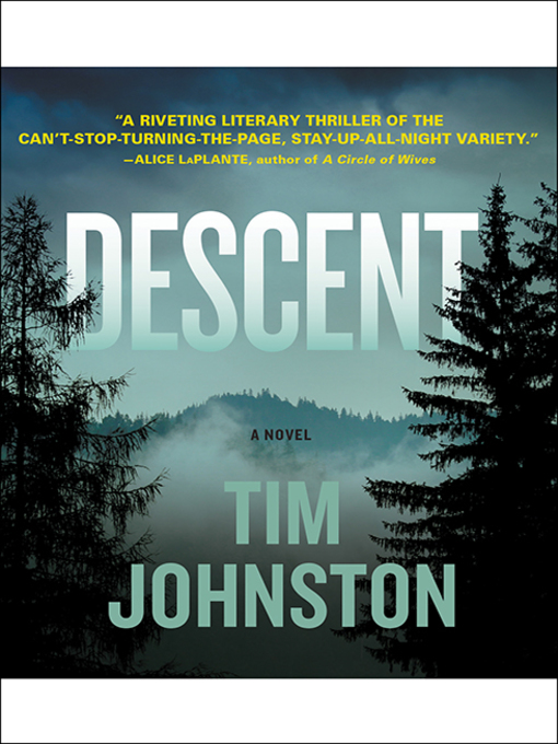 Title details for Descent by Tim Johnston - Wait list